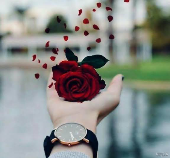لیلا محمدی